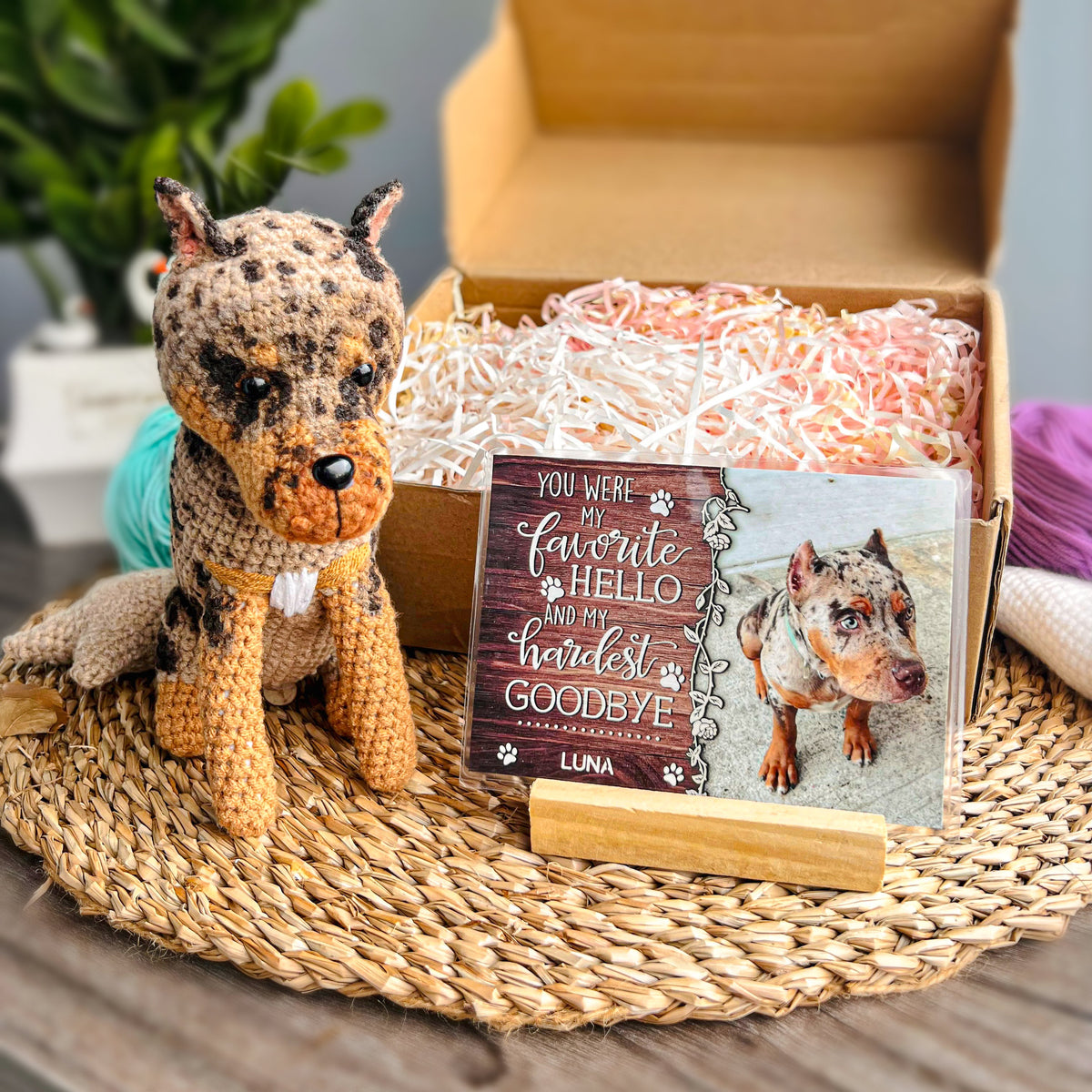 Personalized Crochet Doll with Photo Card "You Were My Favorite Hello"