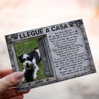Personalized Crochet Doll with Photo Card "Llegué A Casa"