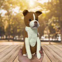 Personalized Crochet Doll with Photo Card "Dear Dad Thank You For Being My Dad Pet Portrait"
