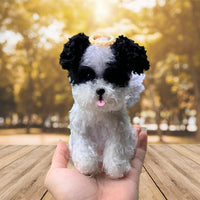 Personalized Crochet Doll with Photo Card "Llegué A Casa"