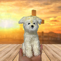 Personalized Crochet Doll with Photo Card "PET Safe In The Arms Of God"